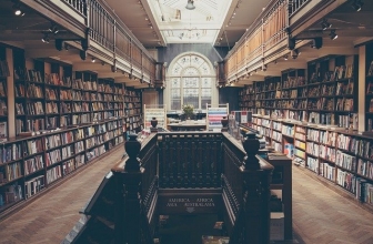 Travailler dans le développement durable et l’écologie : formations et débouchés