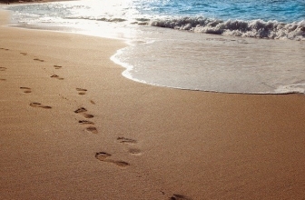 Comment limiter son empreinte carbone au quotidien ?